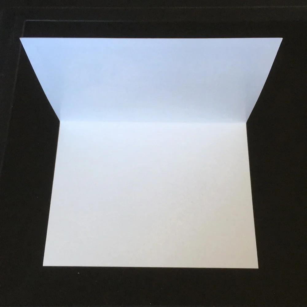 2-pack blank thank you notes (10 per pack)
